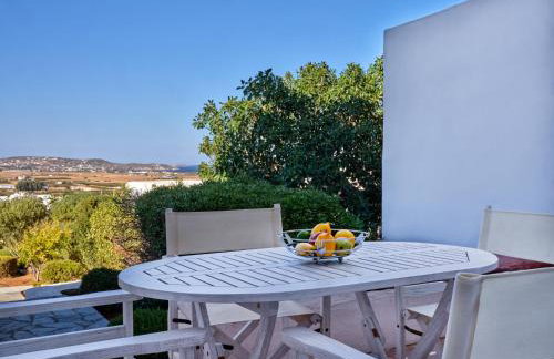 Nola Traditional Villa with pool and amazing sea views, Paros - Photo 10