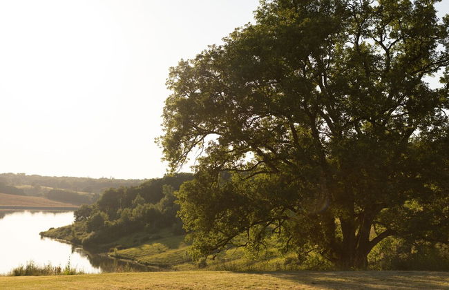Peyrusse Peace: Pool & Charm - Foto 29