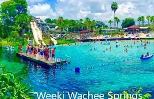 Beautiful & Cozy Home on a Canal in Hudson, FL! - Foto 75