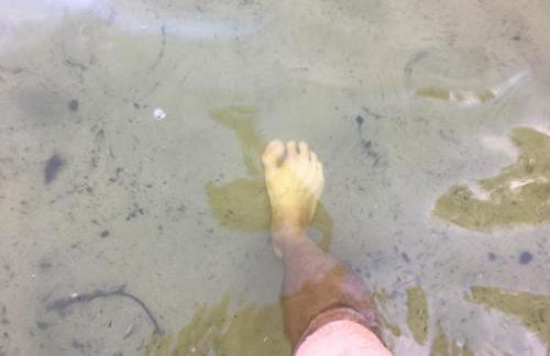 Ferienhaus Wald und Seeidylle, nahe Badesee, Spreewald, Berlin - Foto 10