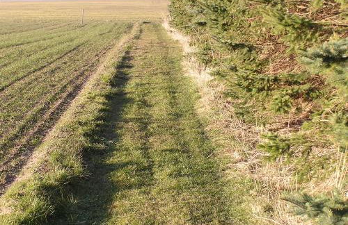 Peeneurlaub - Foto 66