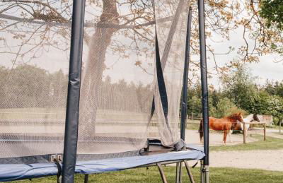 Chalet Zugspitze, Kamin, Tiere - Foto 40