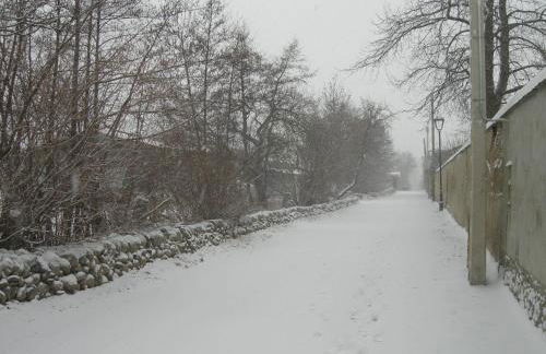 Mas d'Aravó - Photo 54