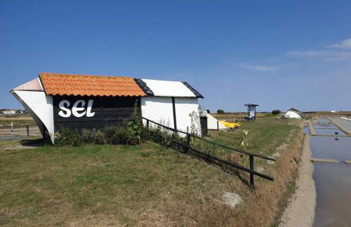 Maison 4 chambres 10 personnes plage à pied à 300 m - Foto 73