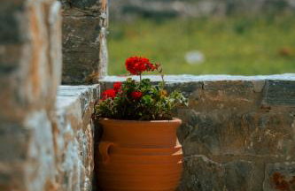 Mitatos "Matthew" - Foto 13