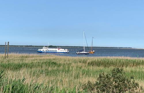 Boddenperle - Foto 50