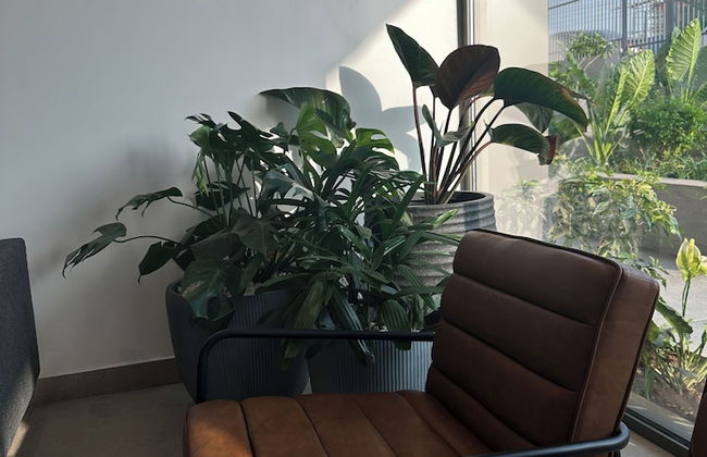 Loxwood House - Photo 1