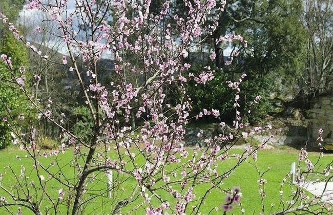 Quinta do Pomar Maior - Foto 32