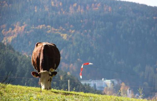 Landhaus Valentin - Foto 65