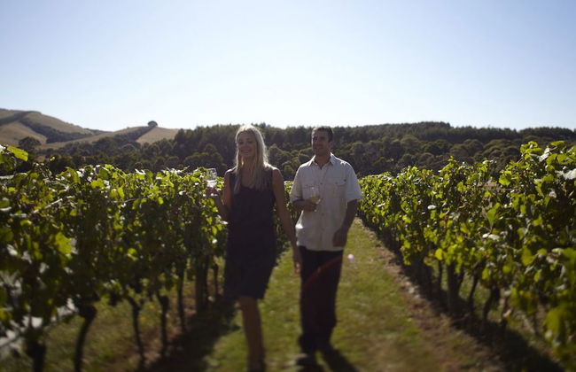 Prom Coast Apartments - Photo 24