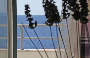 Apartments Stipe Plazibat - Photo 18