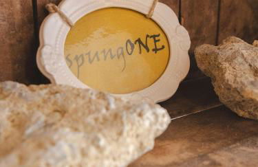 Agriturismo Camponovo - Photo 71