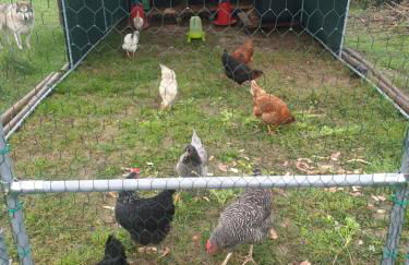 Sondela Self Catering - Foto 60