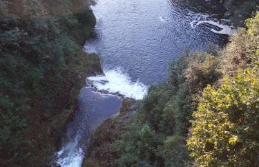 Studio apartman CENTAR - Foto 33