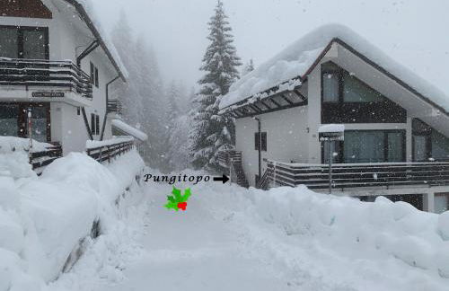 Lacasinapungitopo - Photo 26