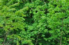 Ferienwohnung Vido - Nordhalben - Foto 18