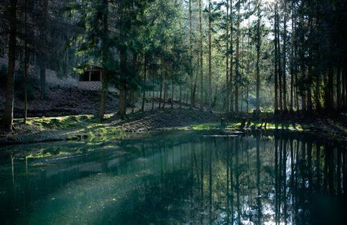 FH "Schmetterling" am See im hessischen Bergland - Foto 22