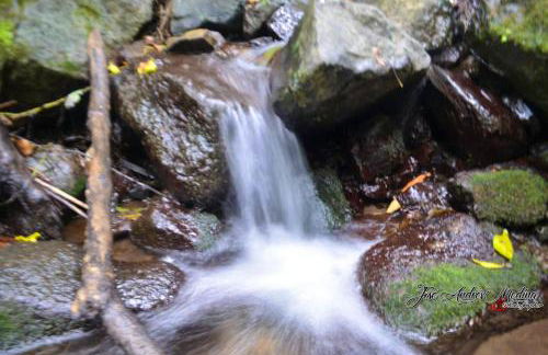 Cosy Chalet with Terrace in Hermigua - Ideal for Couples - Foto 44