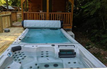 River Cabin Hot Tub & Swim Spa Near Downtown - Foto 34