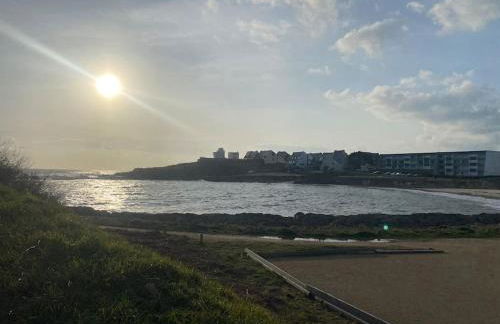 Le Calypso, studio avec terrasse à 50m de la mer ! - Foto 5