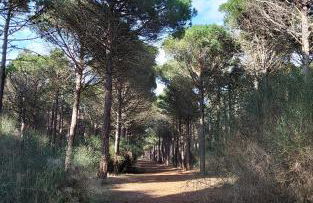 La Catalane - Les Jardins du Rivage - wifi- piscine - Foto 38