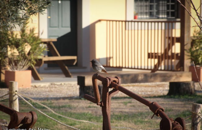 Agriturismo San Matteo - Foto 48