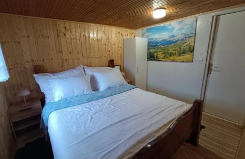 Šumski san - Foto 28