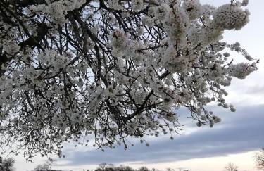 Gîte rural Les Maires d'Avaux - Foto 24