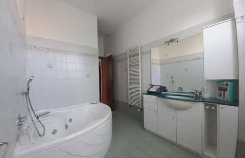 La testuggine - Foto 7