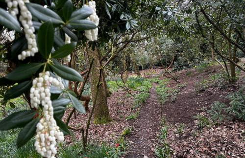 Acorn Lodge Luxury Retreat In a Stunning Oasis With Hot Tub - Pass the Keys - Foto 64