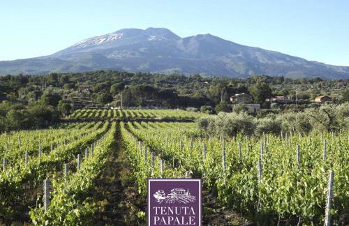 Tuttifrutti holiday - Foto 65