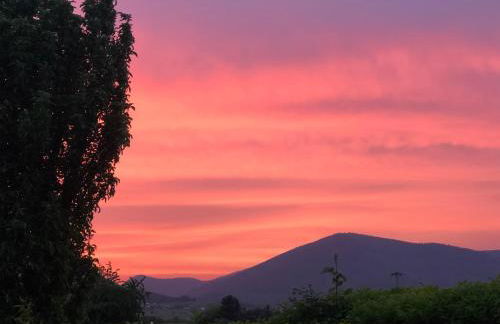 Ferienwohnung Südpfalz mit Fernblick - Foto 25