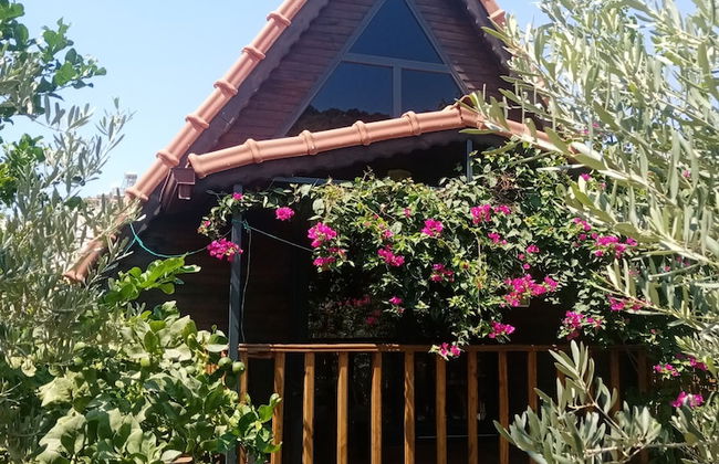 Riviera Bungalow Evleri Demre - Photo 47