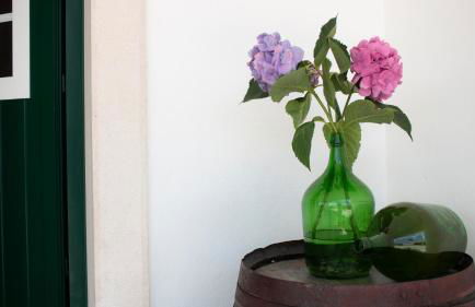 D'Vine - Country house - Foto 52