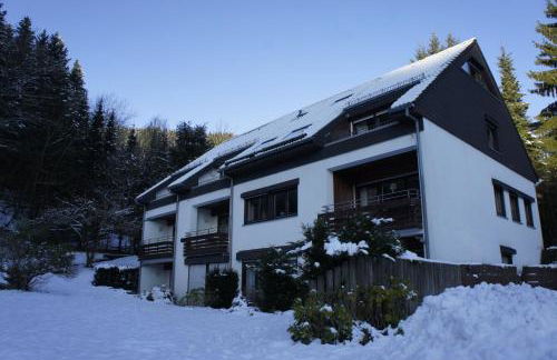 Elpe Apartments Hochsauerland - Foto 46
