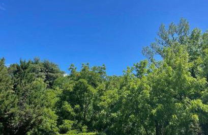 Cascina De' Fagiolari - Foto 7