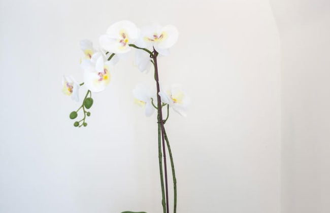 Luxe Studio Near Discovery Gardens Metro Station - Foto 2