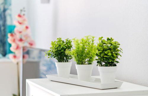 Apartment Eunice - Foto 8