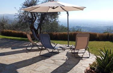 Oliveto Tuscany - Foto 28