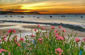 chale gr house bf - Foto 28