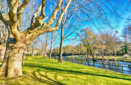 Aromas do Vouga - Foto 20