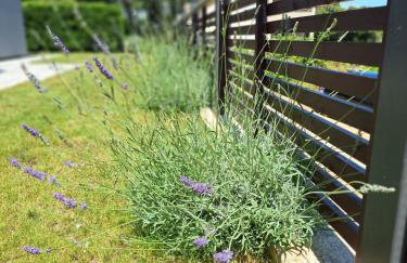 Villa Mateo 2 - Foto 22