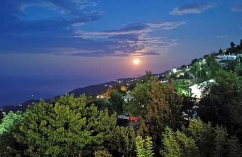 Guest House Pafili - Foto 42