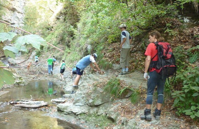 Caminhada no Vale Stan dos Cárpatos do Transfagarasan - Foto 49