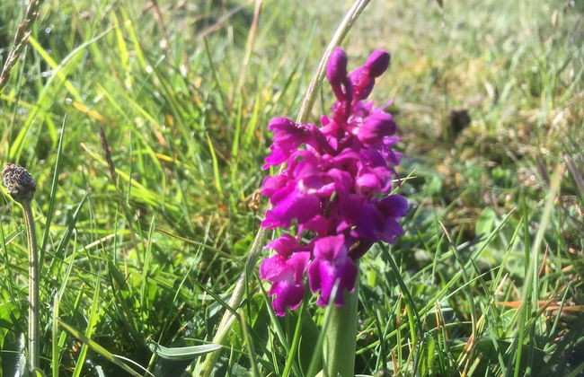 The Cuddly Cow Cosy Barn Studio Campview Farm Stay - Foto 9