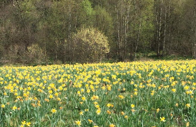 Romantic Hideaway in Hellenthal - Photo 26