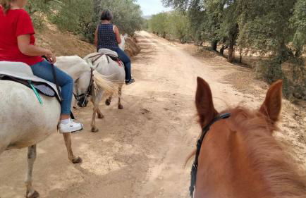 Finca Los Jacaros - Foto 50