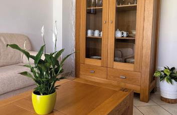 Made in Langhe Apartment - Photo 5