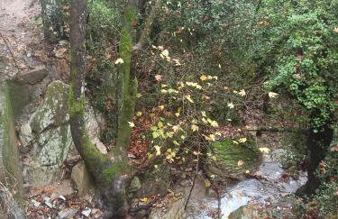 ForestRock Studio FOR SALE TOO - Foto 30