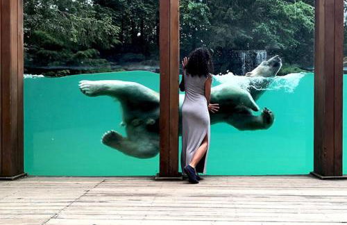 Chalet authentique à Clermont-Créans avec piscine partagée - Photo 73